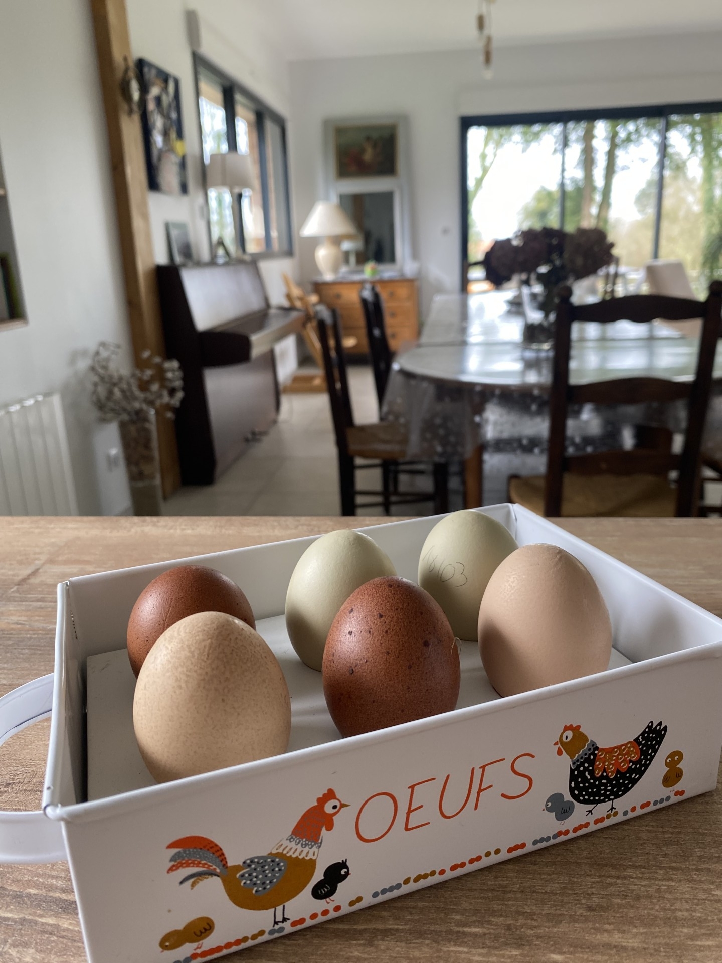 La boite à oeufs