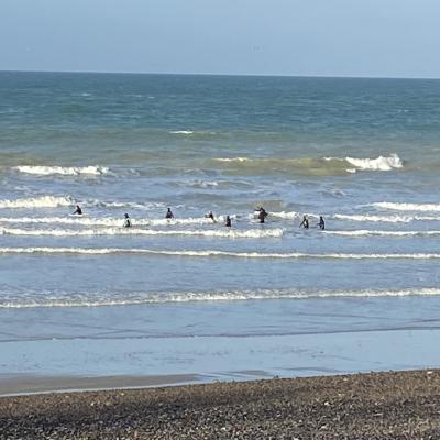 Séance de longe côte à Pourville S/ Mer