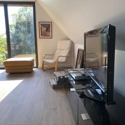 Pièce détente billard